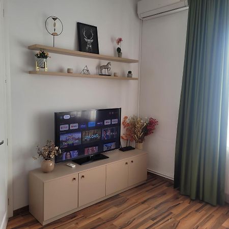 B8 - Spacious, Charming Apartment in Central Sibiu Exterior foto