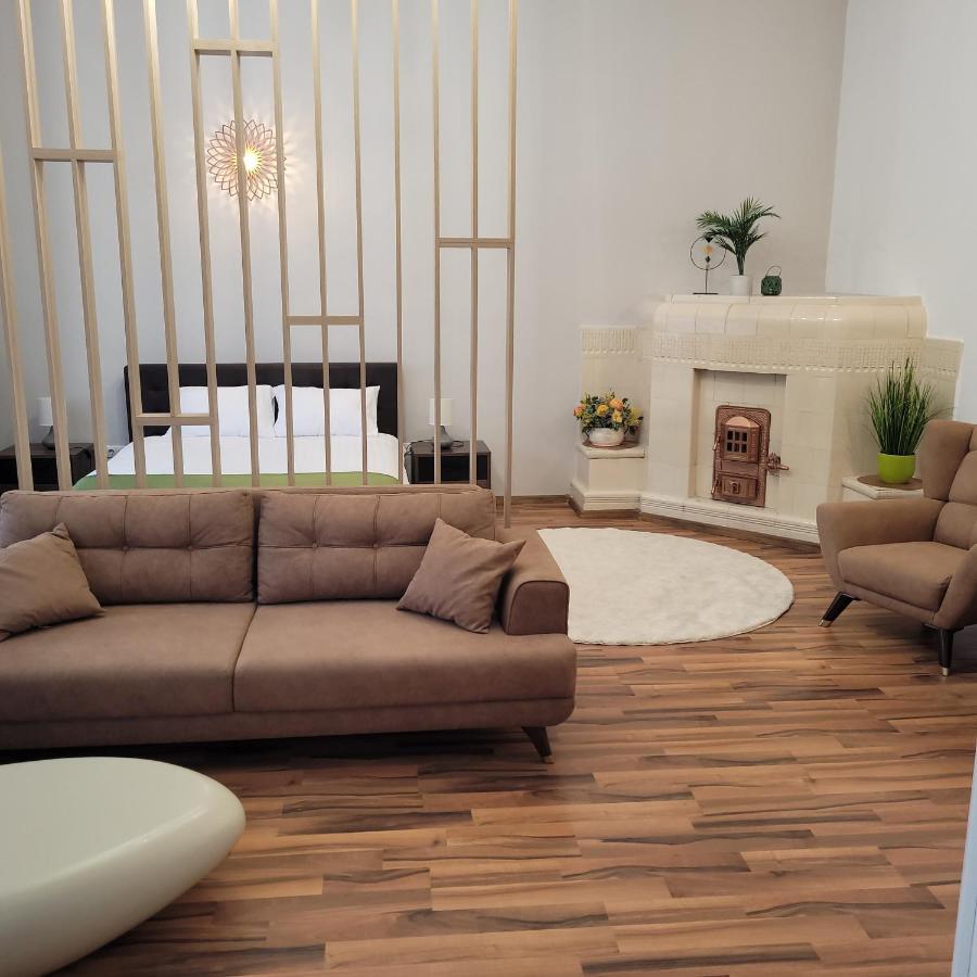 B8 - Spacious, Charming Apartment in Central Sibiu Exterior foto