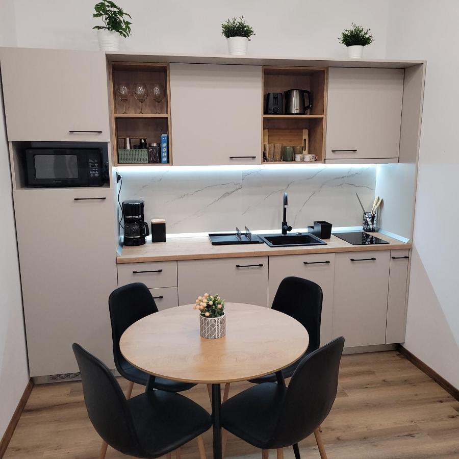 B8 - Spacious, Charming Apartment in Central Sibiu Exterior foto